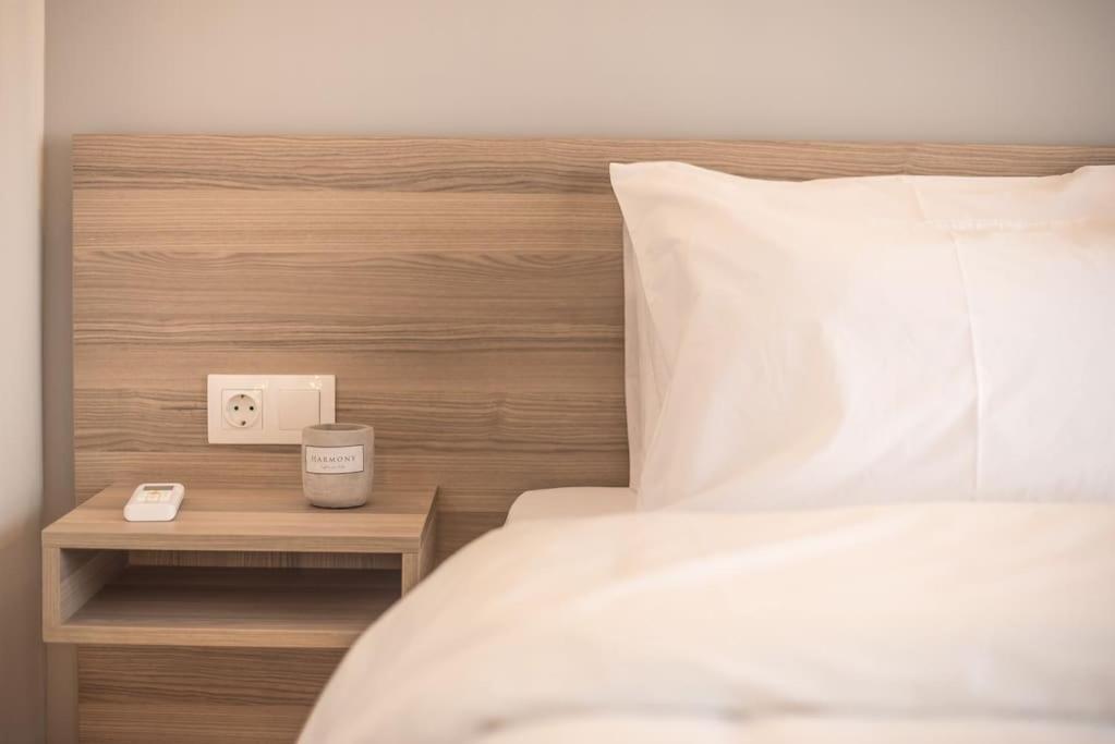 Superior & Spacious Apartment Athens